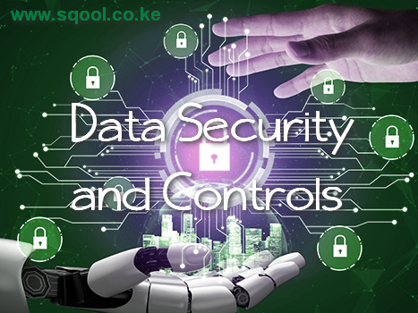 Data Security and Controls: Safeguarding the Digital World