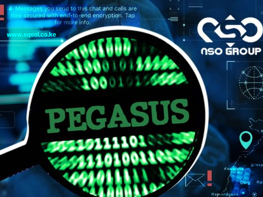 Pegasus: Advanced Mobile Spyware and Its Implications for Privacy and Security